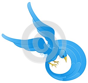 Twitter ing blue bird icon photo