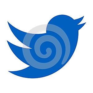 Twitter logo. Blue bird on a white background. icon vector