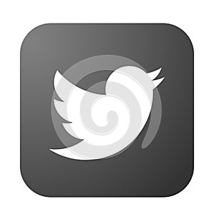 Twitter logo icon bird vector in black element on white background