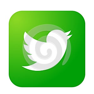 Twitter logo icon bird vector in green element on white background