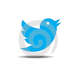 Twitter symbol on white