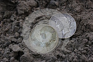 Two 1922 Silver Peace Dollars On Ground in Dirt