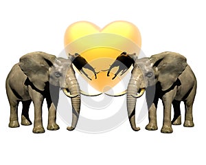 Two 3d elephant with red heart photo