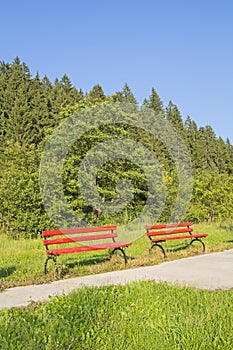 Two abandoned red benches in green forest