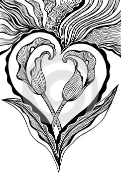 Two abstract flowers callas in form of heart in black white