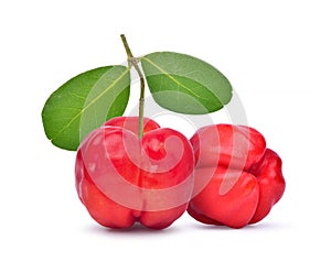 Two Acerola Cherries with leaves photo