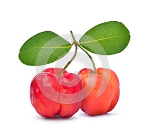 Two Acerola Cherries with leaves photo