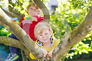 Two active little kid boys enjoying climbing on