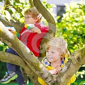 Two active little kid boys enjoying climbing on