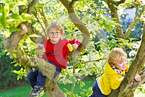 Two active little kid boys enjoying climbing on tree