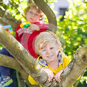 Two active little kid boys enjoying climbing on tree