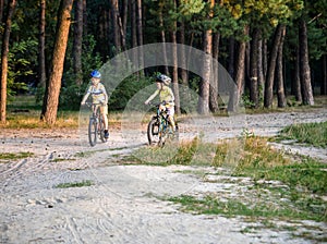 Two active little sibling boys having fun on bikes in forest on warm day