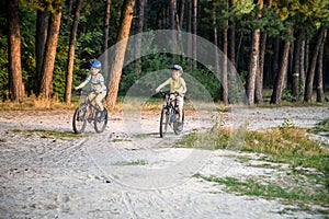 Two active little sibling boys having fun on bikes in forest on warm day