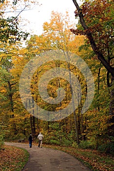 Two active seniors walking on a paved path through a forest in the fall at Petrifying Springs Park in Wisconsin