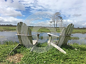 chairs looking at a swamp and a tree