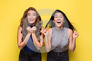 Two admired women screaming in surprise on yellow background