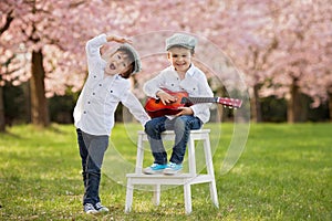 Two adorable caucasian boys in a blooming cherry tree garden, pl