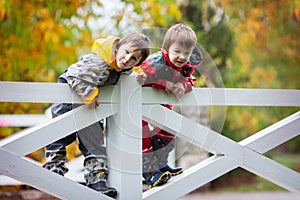 Two adorable children, boy brothers, playing in park on rainy da