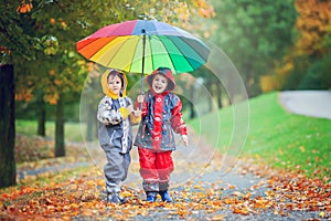 Two adorable children, boy brothers, playing in park with umbrella