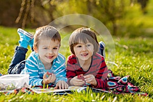 Two adorable cute caucasian boys, lying in the park in a fine su