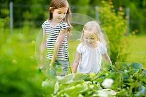 Two adorable girls watering plants and flowers