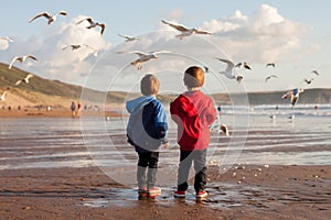 Two adorable kids, feeding the seagulls on the beach