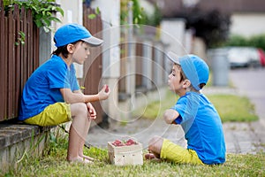 Two adorable little children, boy brothers, eating strawberries, summertime