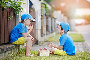 Two adorable little children, boy brothers, eating strawberries, summertime