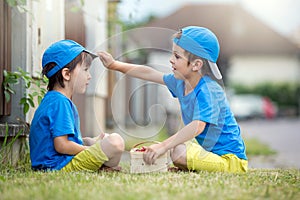 Two adorable little children, boy brothers, eating strawberries, summertime