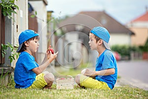 Two adorable little children, boy brothers, eating strawberries, summertime