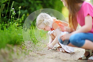 Two adorable little girl catching babyfrogs