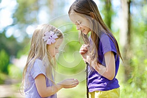 Two adorable little girl catching babyfrogs in summer forest