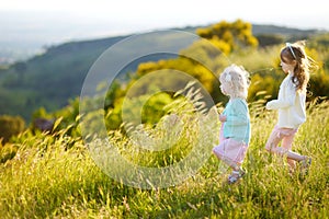 Two adorable little girls having fun in a meadow