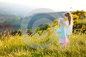 Two adorable little girls having fun in a meadow