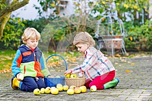 Two adorable little twin kids picking apples