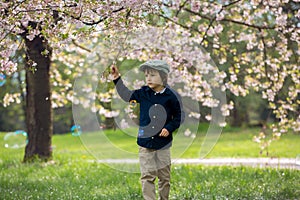 Two adorable preschool children, boy brothers, playing with little chicks