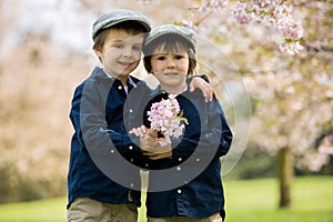 Two adorable preschool children, boy brothers, playing with little chicks