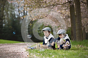 Two adorable preschool children, boy brothers, playing with little chicks