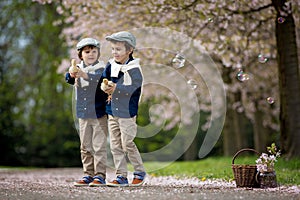 Two adorable preschool children, boy brothers, playing with little chicks