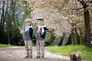 Two adorable preschool children, boy brothers, playing with little chicks