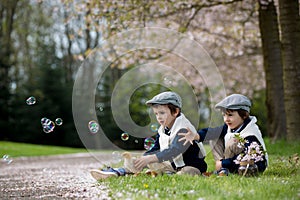 Two adorable preschool children, boy brothers, playing with little chicks