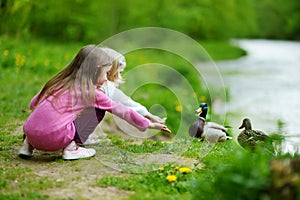 Two adorable sisters feeding ducks by a river