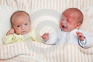Two adorable twin babies. One looking, one crying