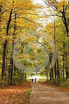 Two adults bike riding along a path through a forest in the fall in Kenosha, Wisconsin