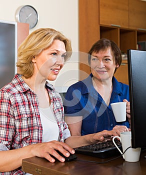 Two aged collegues with PC