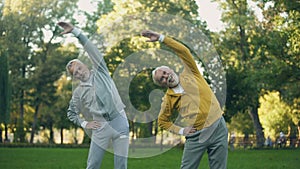 Two aged pensioners doing morning exercises in park, fitness activity, wellness