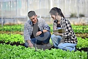 Two agronomists inspect plant disease and insects in organic farm. Agribusiness concept.