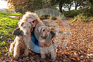 Two Airedale terriers in a leafy country location.