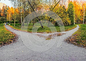 Two alleys diverge in different directions among the green grass and fallen yellow leaves. Conceptual autumn landscape