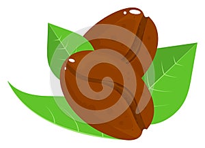 Two almonds with fresh green leaves, isolated on white. Nutritious nuts, healthy food concept. Dietary snack vector